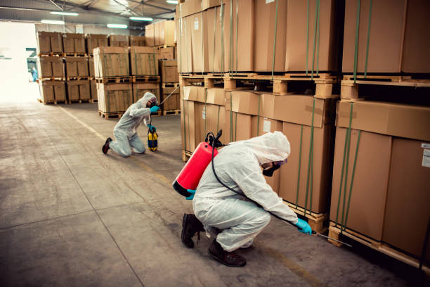 Best Residential Pest Control  in Tekamah, NE