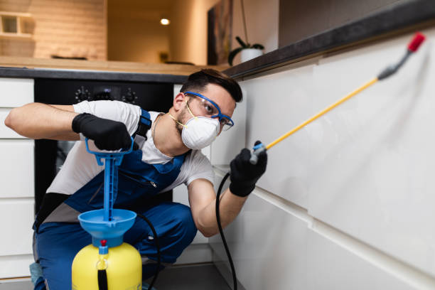 Best Termite Control Services  in Tekamah, NE