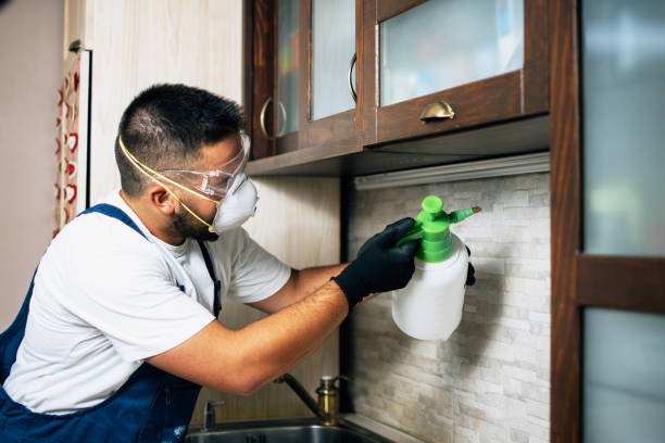 Best Wildlife Control Services  in Tekamah, NE