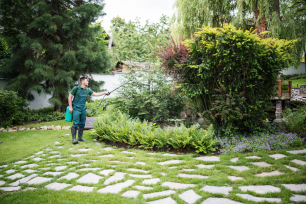 Best Best Pest Control Companies  in Tekamah, NE