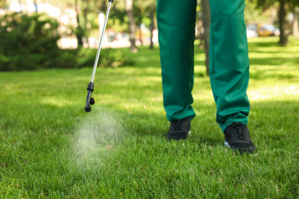 Best Pest Control for Homes  in Tekamah, NE
