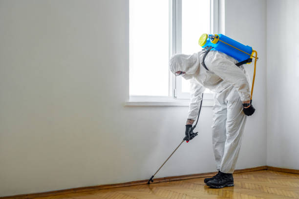 Pest Control for Restaurants in Tekamah, NE