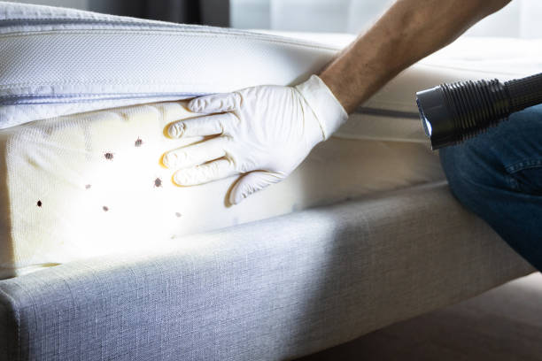 Best Pest Inspection Near Me  in Tekamah, NE