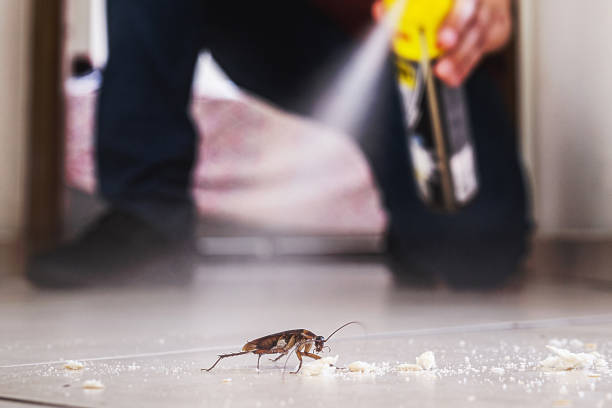Best Mosquito Control Services  in Tekamah, NE