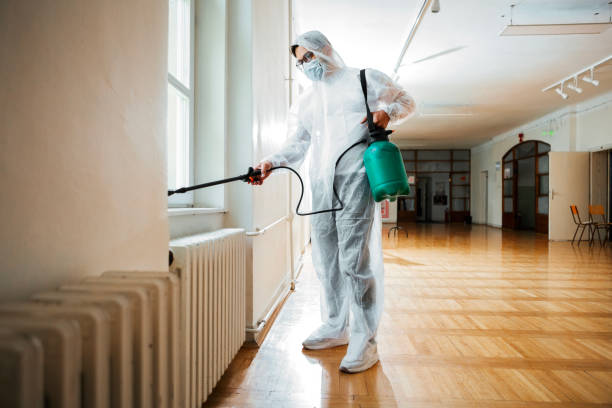 Best Cockroach Control Services  in Tekamah, NE