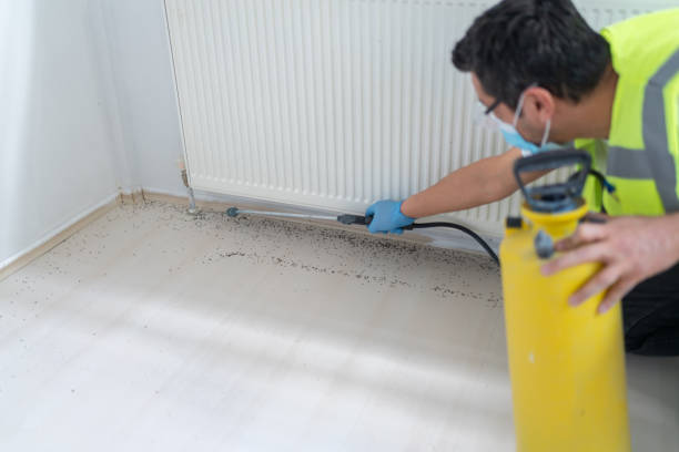 Best Exterminator Services  in Tekamah, NE